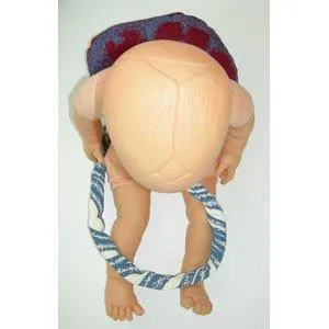 Fetal Doll with umbilical cord & placenta