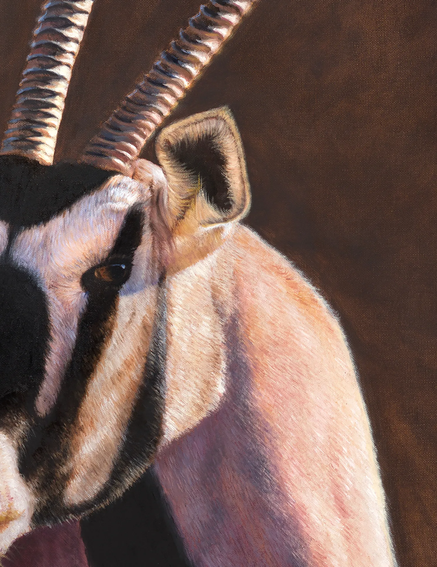 Gemsbok Gem- First in Series