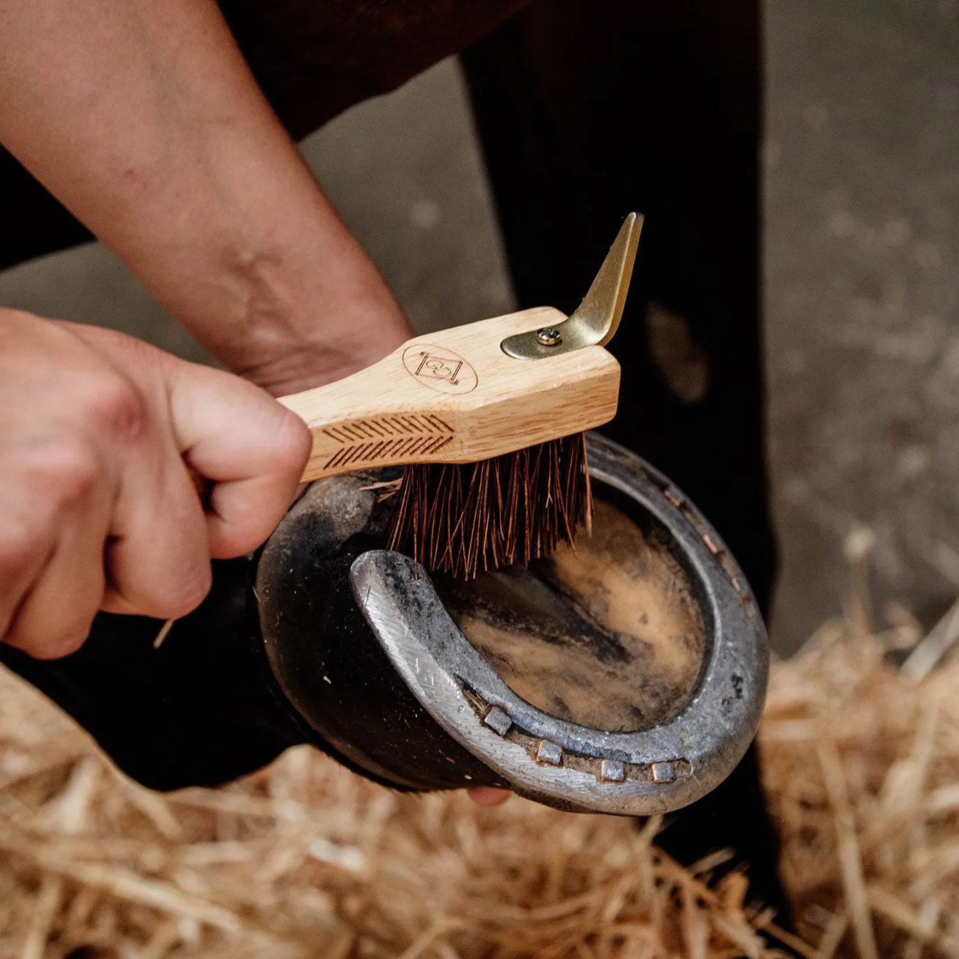 Grooming Deluxe Hoof Pick and Brush