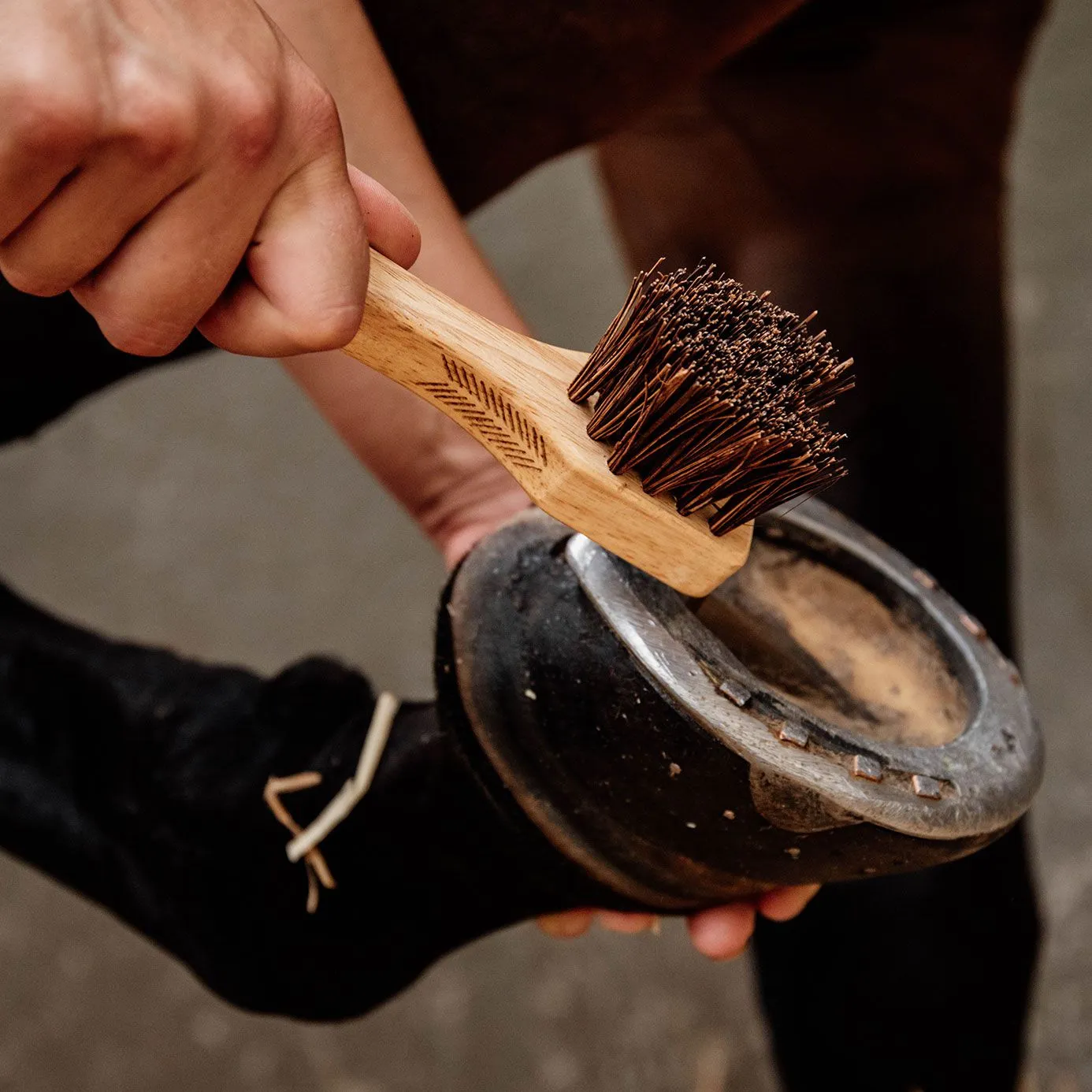 Grooming Deluxe Hoof Pick and Brush